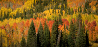 Autumn Layers of Gothic Mountain