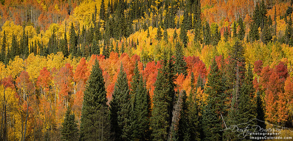 Autumn Layers of Gothic Mountain