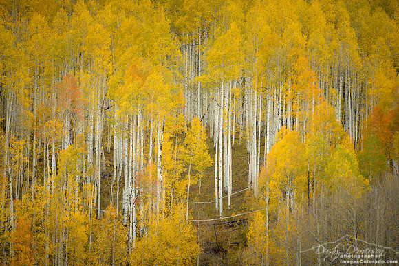 The Gateway to Solitude
