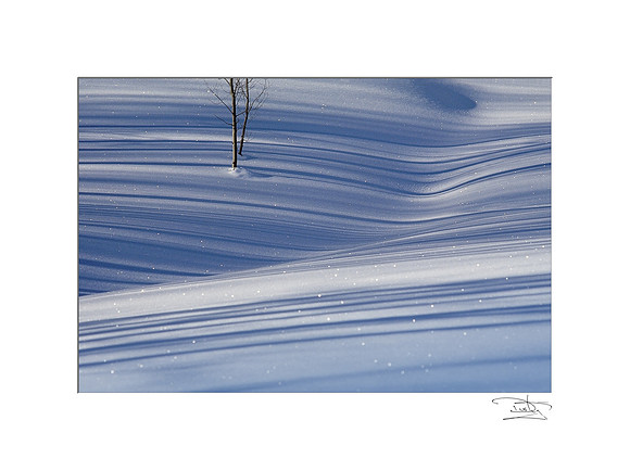Winter Blues