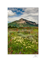 Crested Butte Mountain Summer