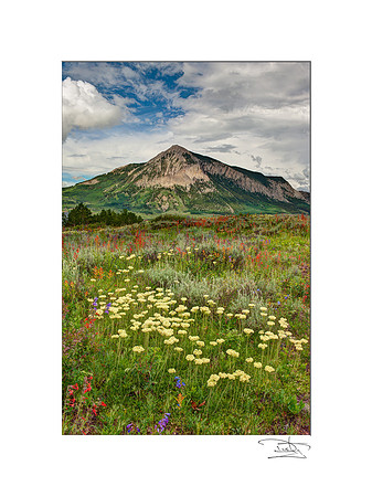 Crested Butte Mountain Summer