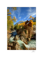 18 x 24 Matted Prints
