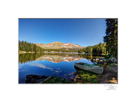 Summer Serenity