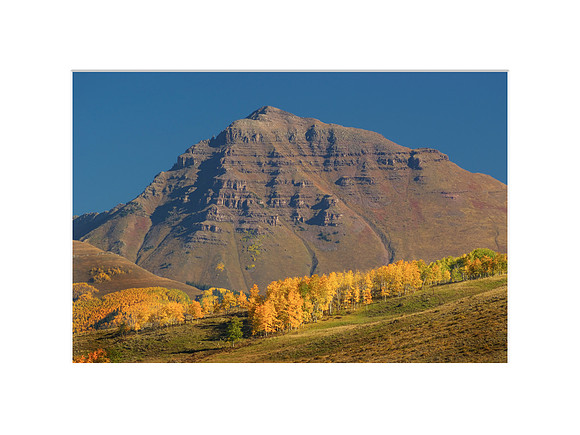 Teocalli Autumn