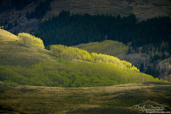 A Slice of Spring