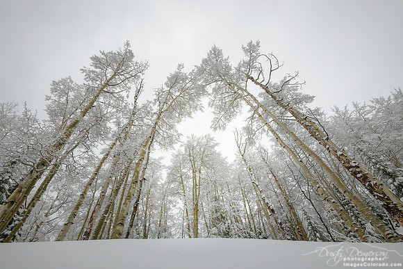 Colorado Cathedral Landscape