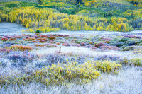 First Frost of Fall