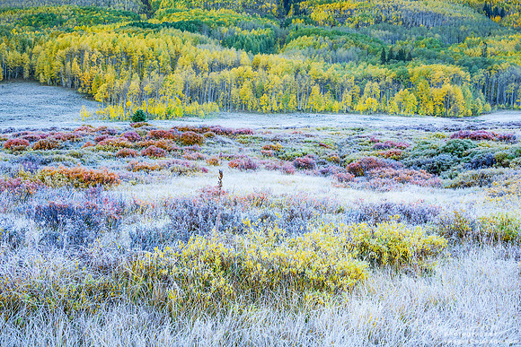 First Frost of Fall