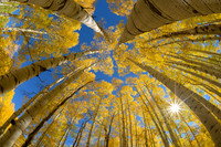 Autumn is looking up