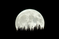 Blue Supermoon 2023