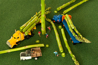 Clear Cutting Asparagus