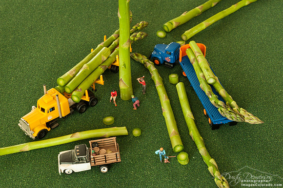 Clear Cutting Asparagus