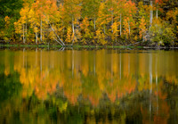 Autumn Impressions