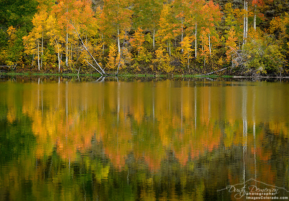 Autumn Impressions