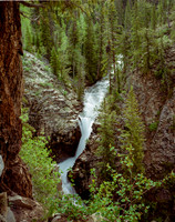 Judd Falls - Gothic Colorado