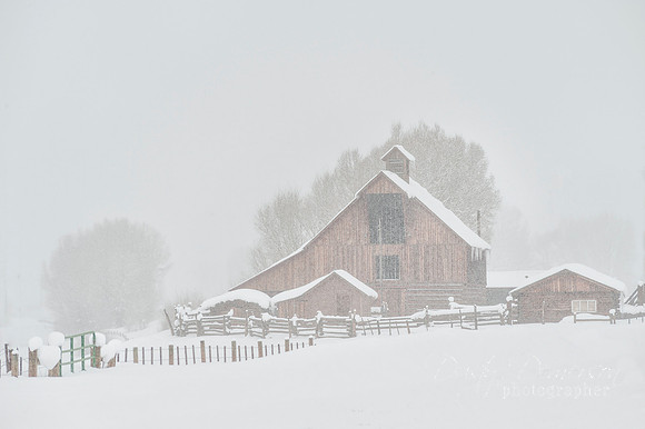 iconic estess barn in snow