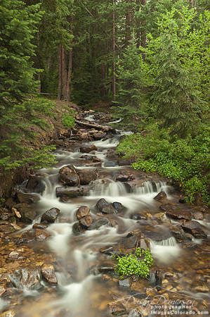 A small waterfall falls gently from a deep green forest near Lost Lake in Colorado