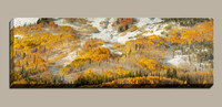 fresh snow on Gothic Mountain with golden aspen trees