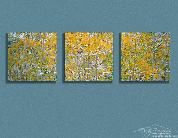 early snow on Colorado aspen forest triptych canvas