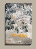 yellow aspen trees surrounded by snow covered Crested Butte Mountain