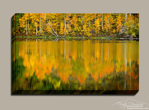 Fall colors fill the forest reflection in Lake Grant near Crested Butte Colorado