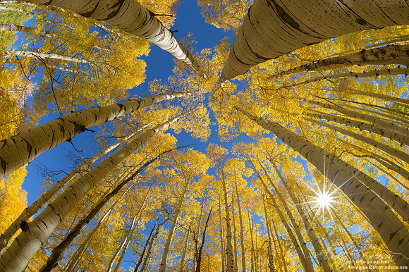 Fall is Looking Up