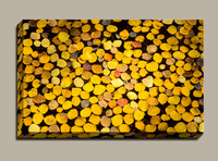 floating yellow aspen leaves create an autumn bisque