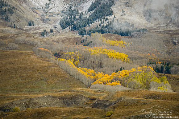 fall aspen forest leaves valley snow mountain
