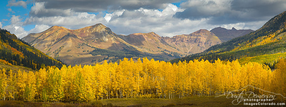 Belleview Mountain aspen fall leaves trees yellow golden panorama
