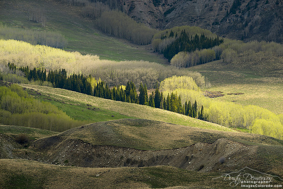 Spring green aspen river valley sun light