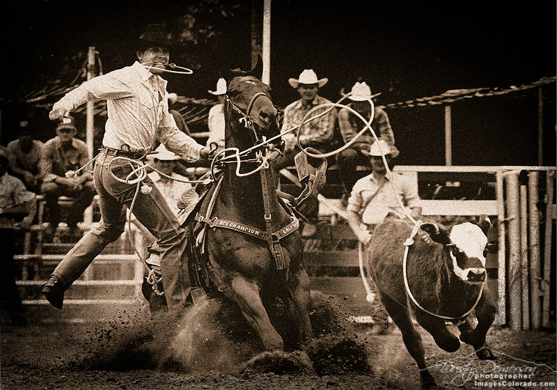 Barry Burk NFR Champion