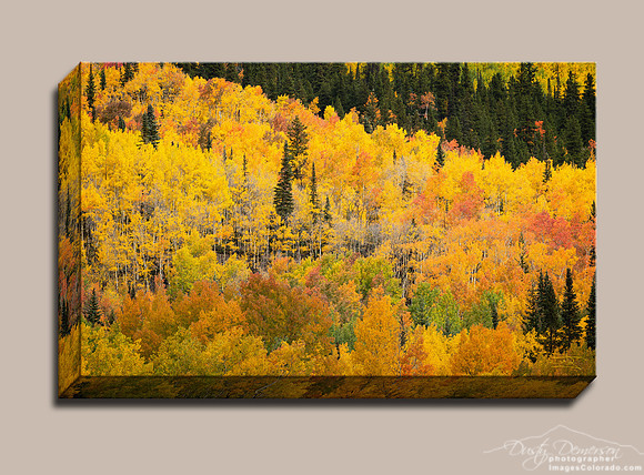 Intensely Autumn