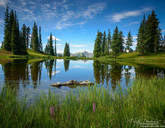 Paradise Divide pond lake reflection summer