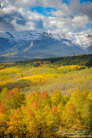 fall color Castles forest snow sky trees yellow