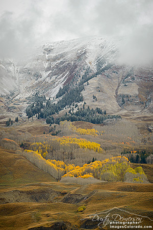 fall mountain valley snow aspen forest yellow