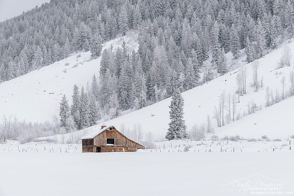 Shelter From the Storm