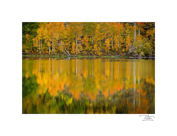 Autumn Impressions matted