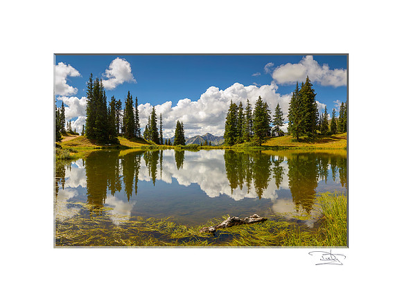 Paradise Pond