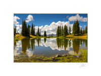 Paradise Pond