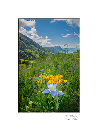 Wonderful Washington Gulch