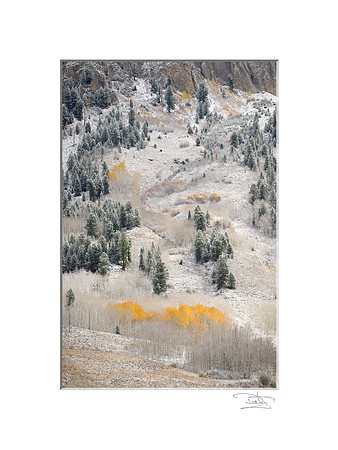 At the Edge of Autumn