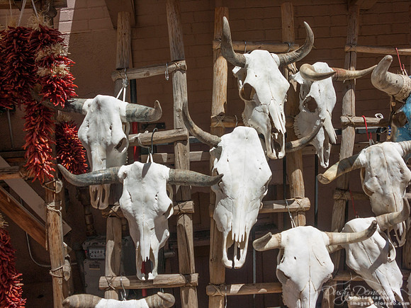 Skulls and Chilis