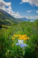 Wonderful Washington Gulch