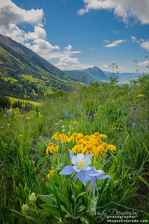 Wonderful Washington Gulch