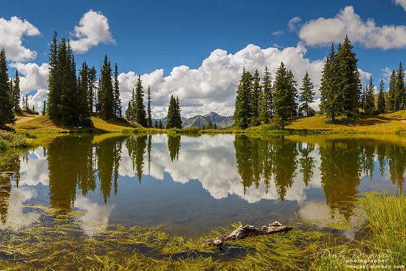 the pond at the top of Paradise Divide on a summer day