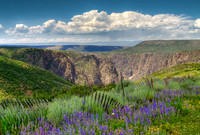 Black Canyon Summer