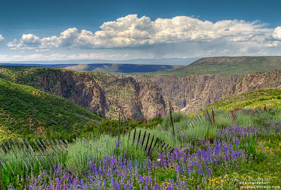 Black Canyon Summer