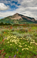 Crested Butte Mountain Summer