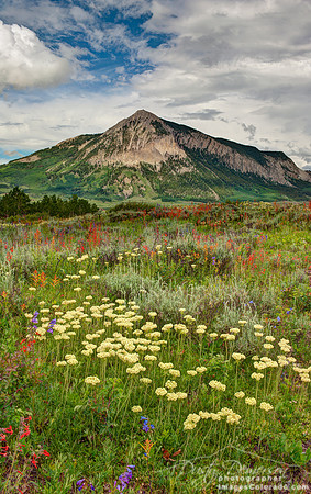Crested Butte Mountain Summer